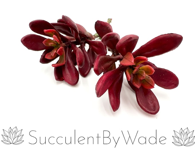 Faux Succulent Pick - Senecio