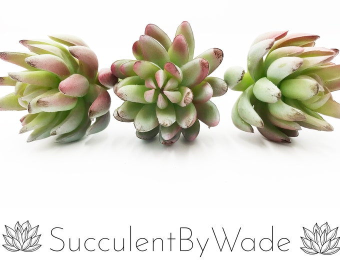 Faux Succulent Pick - Senecio