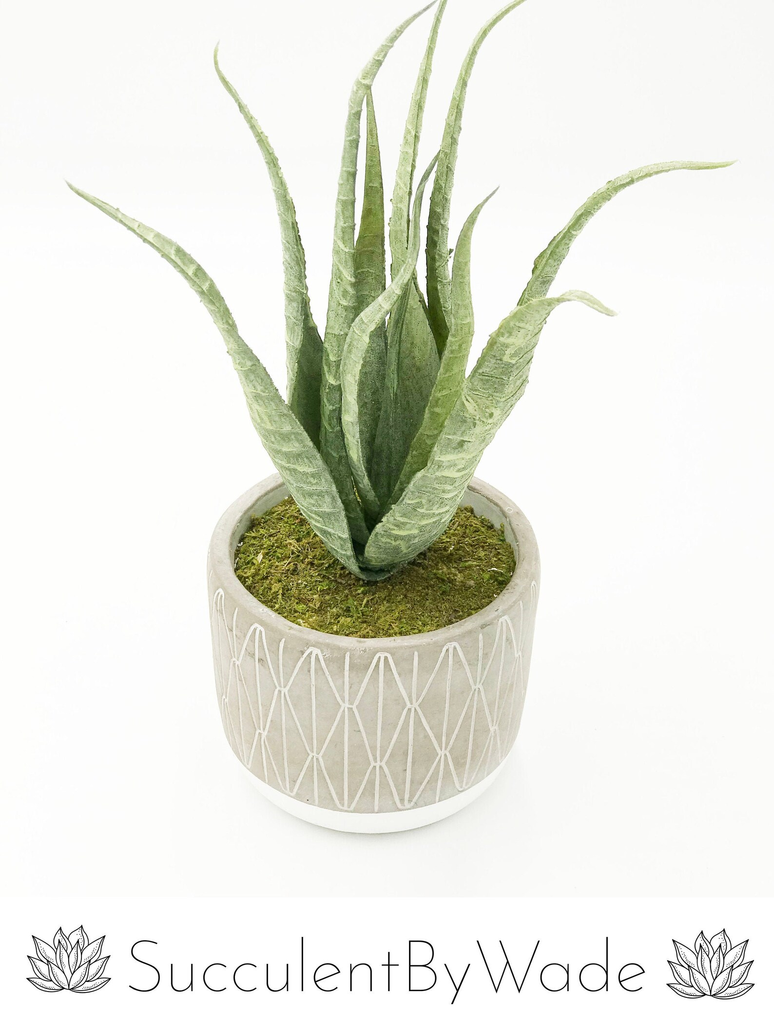 Beautiful Faux Aloe Arrangement Etsy