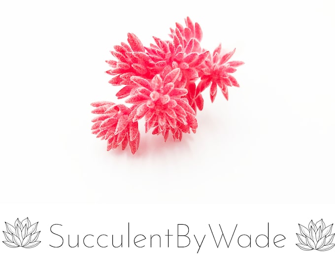 Faux Succulent Pick