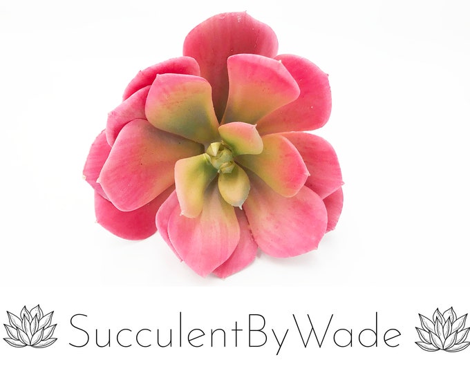 Faux Succulent Pick -Echeveria