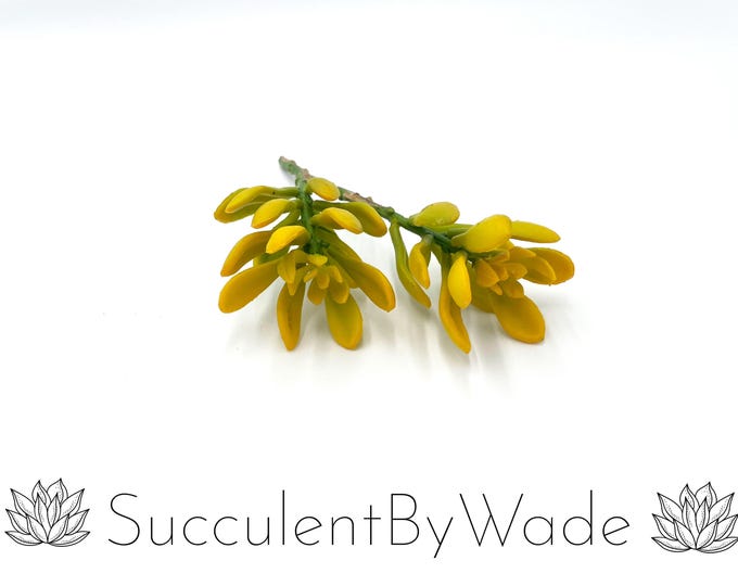 Faux Succulent Pick - Senecio