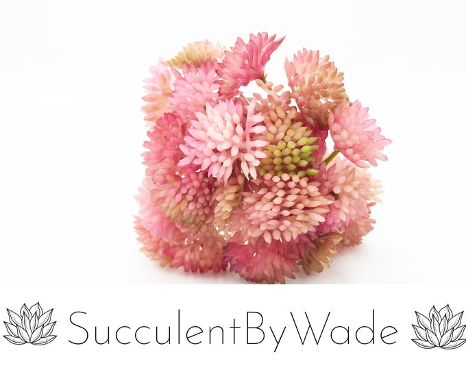 Faux Succulent Pick - Sedum