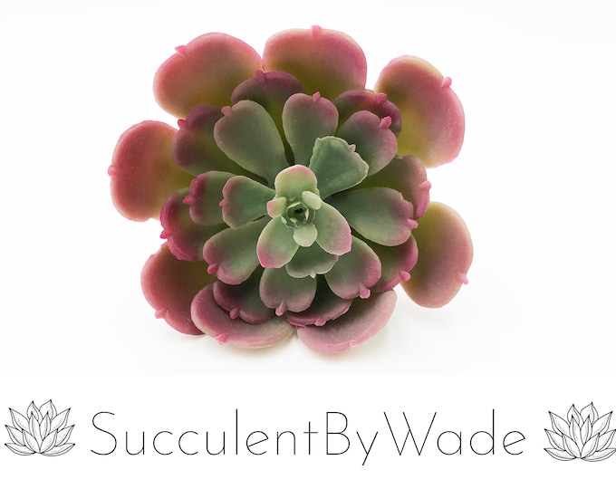 Faux Succulent Pick - Echeveria