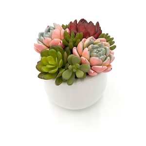 Wunderschönes künstliches Sukkulenten Arrangement