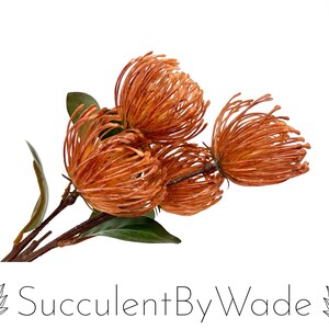 Puede incluir: Un ramo de flores de protea naranja artificiales con hojas verdes. Las flores están dispuestas en un racimo y tienen un aspecto texturizado y espinoso. El ramo es perfecto para añadir un toque de belleza natural a cualquier espacio.