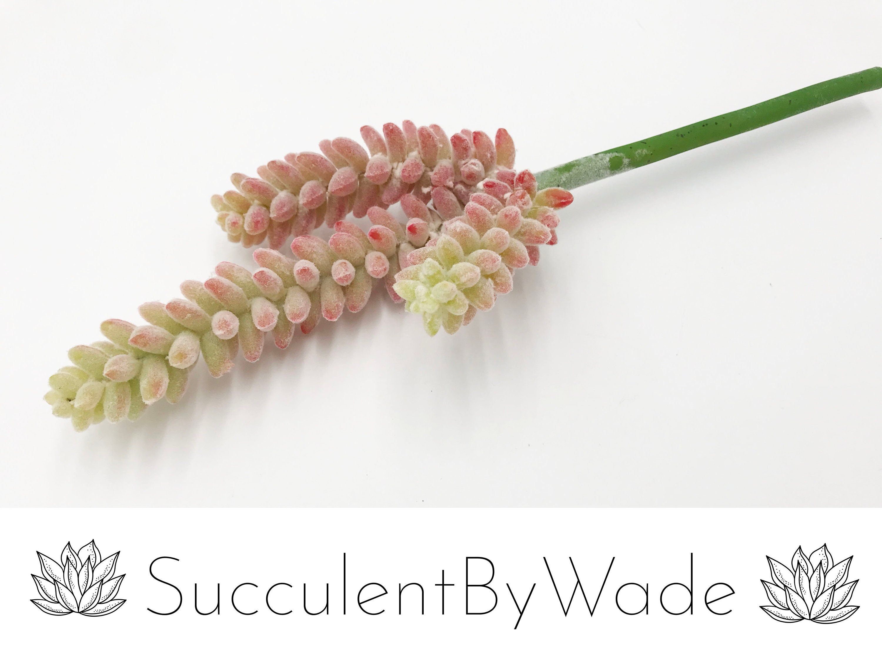 Faux Succulent Pick - Donkey Tail