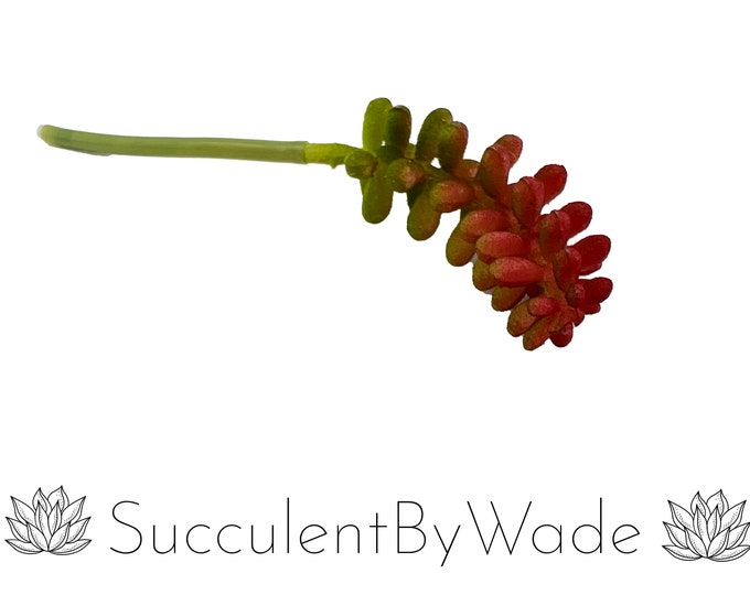 Faux Succulent Pick - Donkey Tail