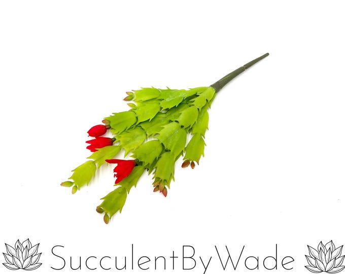 Faux Succulent Pick - Christmas Cactus