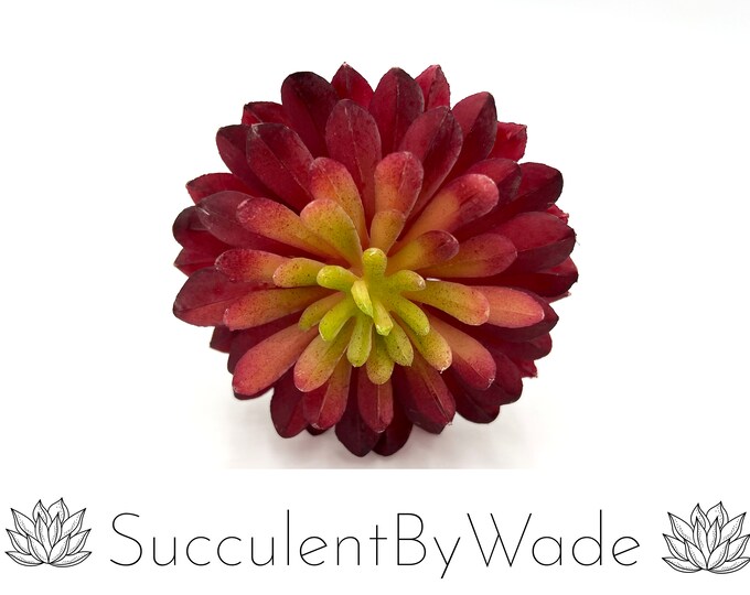 Faux Succulent Pick - Echeveria