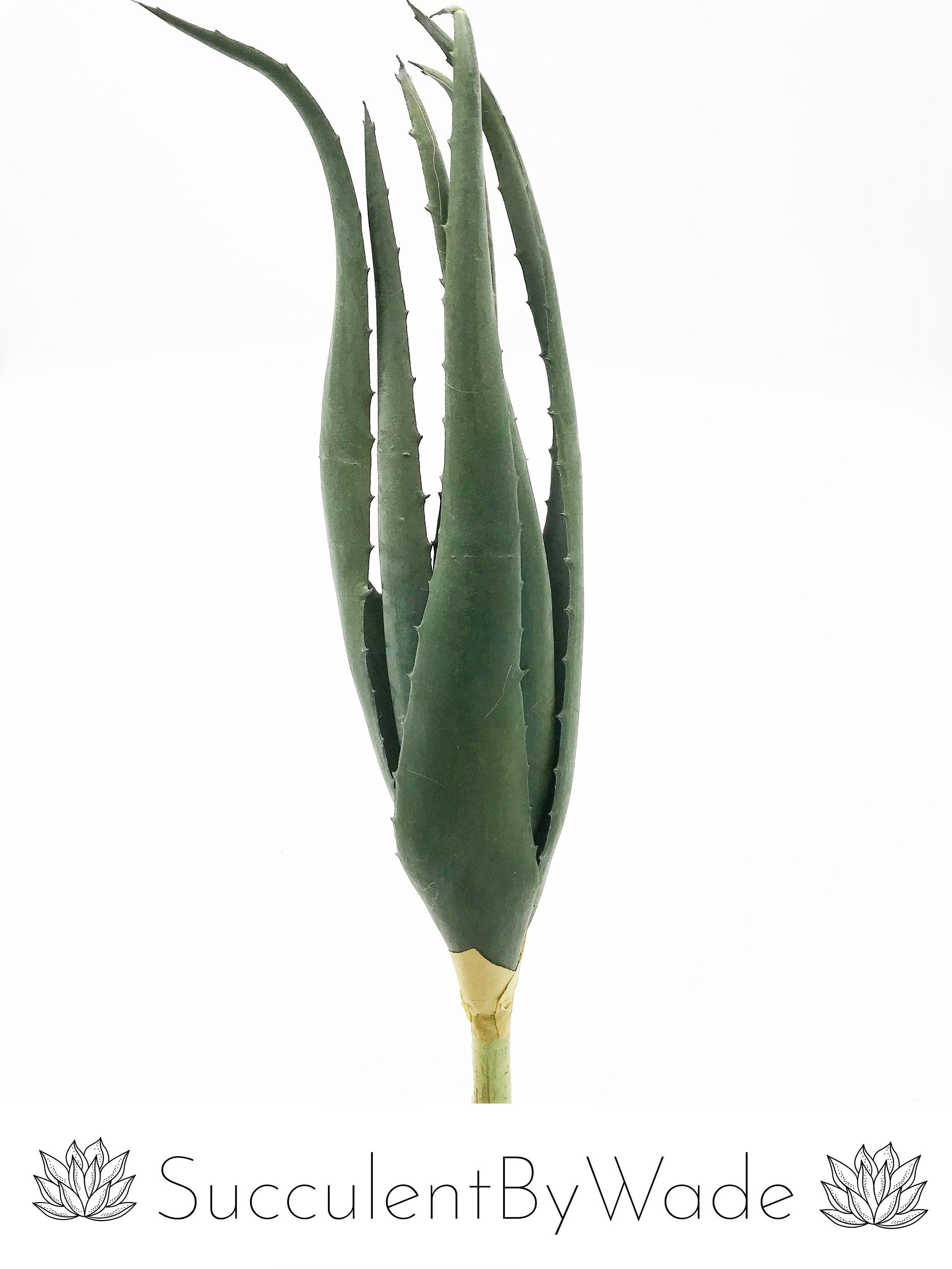 Faux Aloe Pick Etsy