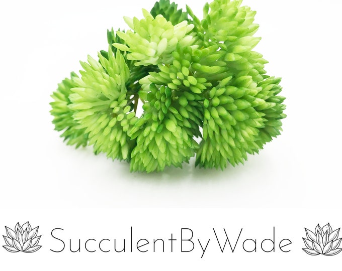 Faux Succulent Pick - Sedum