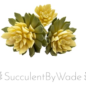 May include: Three artificial succulent plants in shades of green and yellow. The succulents are arranged in a cluster and have a realistic appearance.