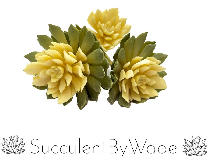 Faux Succulent Pick - Chick and Hen