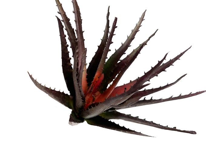 Faux Succulent Pick - Aloe