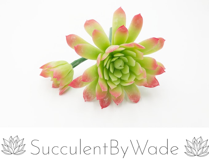 Faux Succulent Pick - Echeveria