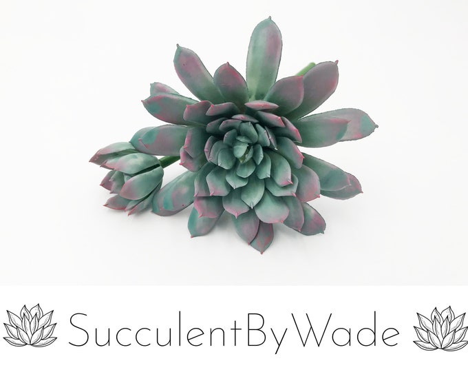Faux Succulent Pick - Echeveria