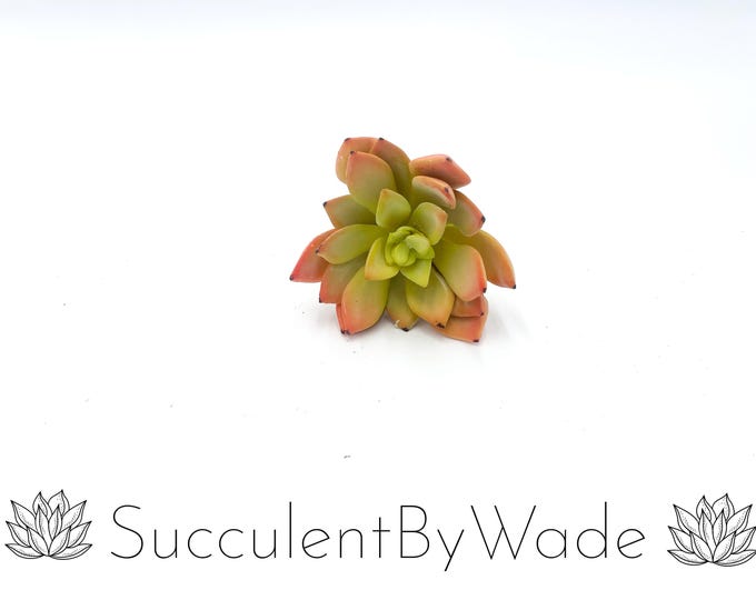 Faux Succulent Pick - Echeveria