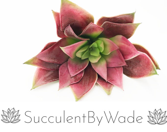 Faux Succulent Pick - Echeveria