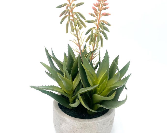 Beautiful faux succulent arrangement