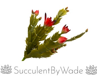 Faux Succulent Pick - Christmas Cactus