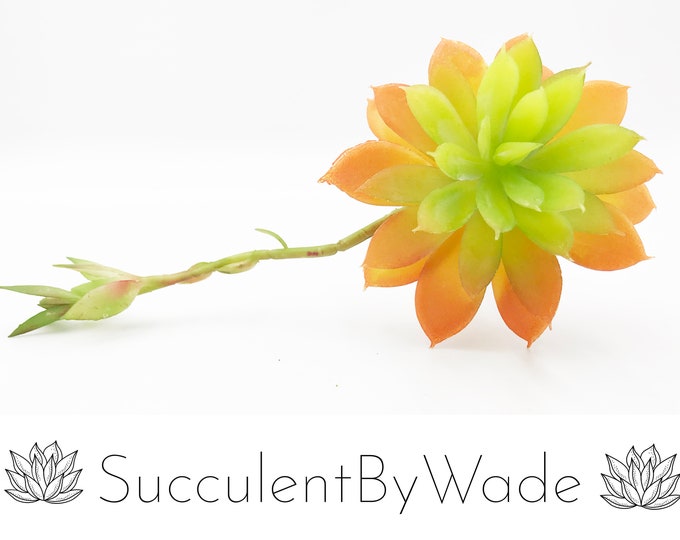 Faux Succulent Pick - Echeveria