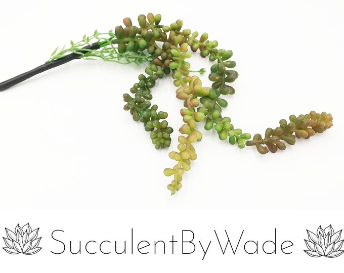 Faux Succulent Pick - String of pearls/donkey tail