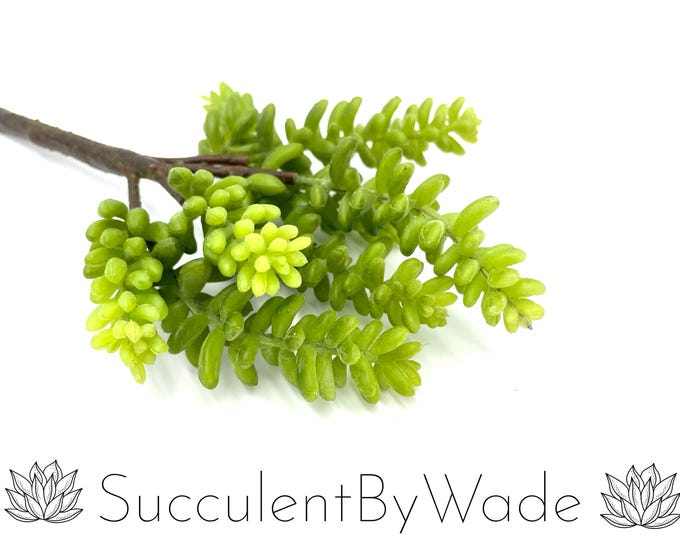 Faux Succulent Pick - Sedum