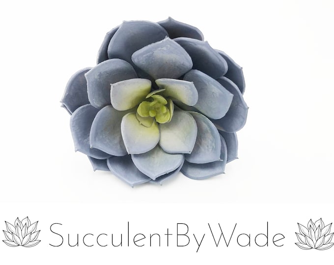 Faux Succulent Pick - Echeveria