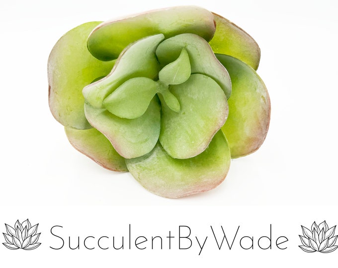Extra Large Faux Succulent Pick - Echeveria