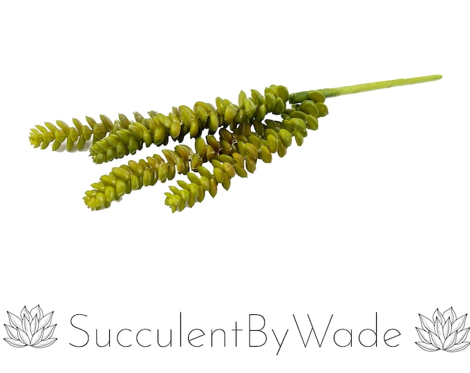 Faux Succulent Pick - Donkey Tail