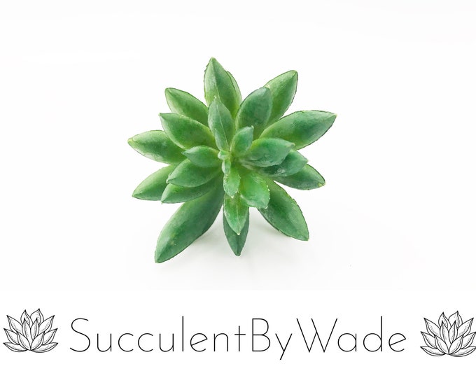 Faux Succulent Pick