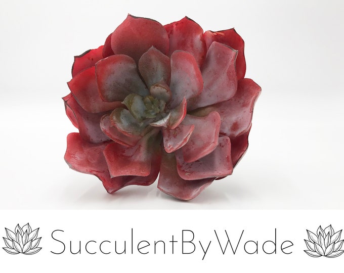 Faux Succulent Pick - Echeveria