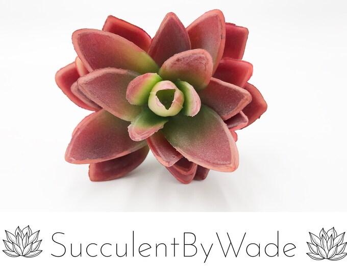 Faux Succulent Pick - Echeveria