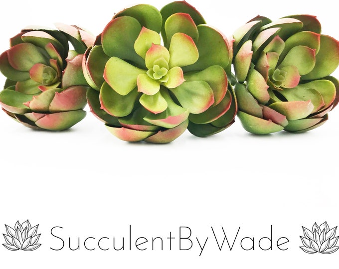 Faux Succulent Pick - Echeveria