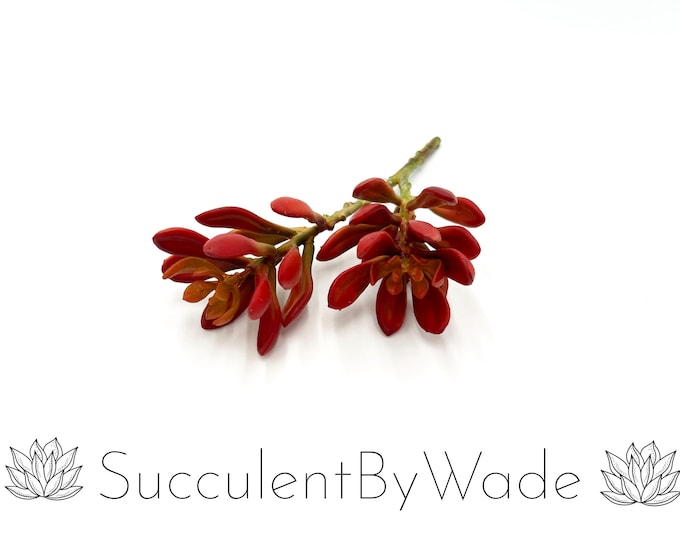 Faux Succulent Pick - Senecio