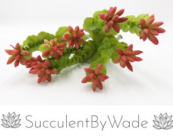 Faux Succulent Pick - Crassula