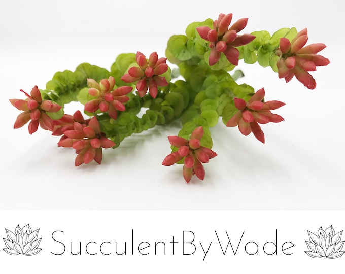Faux Succulent Pick - Crassula