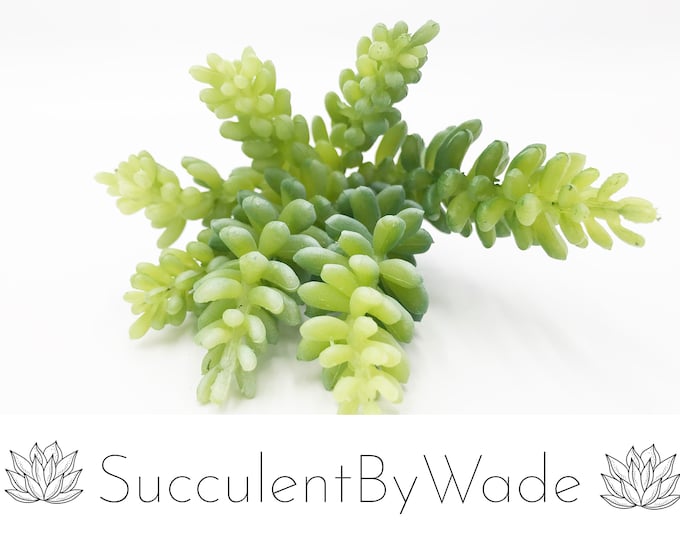 Faux Succulent Pick - Sedum