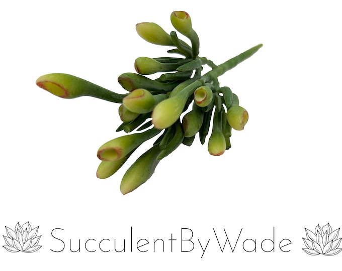 Faux Succulent Pick - Coral