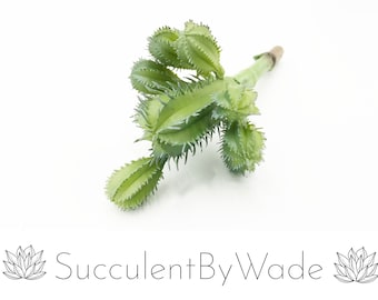 Faux Cactus Pick - Column Cactus