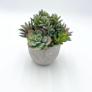 Wunderschönes künstliches Sukkulenten Arrangement