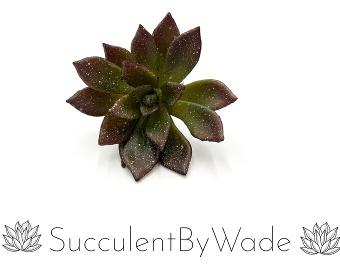 Faux Succulent Pick - Echeveria - Naturally Inspired Series