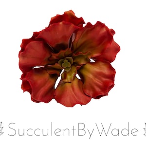 Faux Succulent Pick - Echeveria