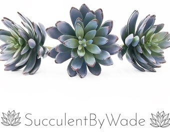 Faux Succulent Pick - Echeveria