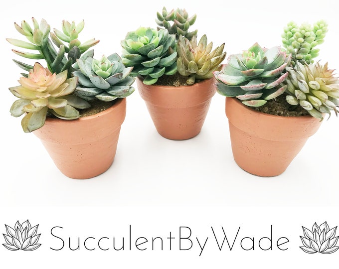 Beautiful Faux Succulent  Arrangement