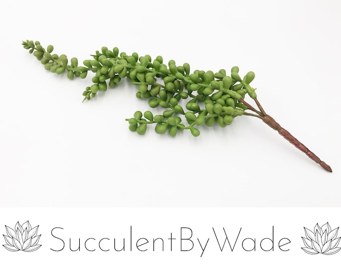 Faux Succulent Pick - String of pearls