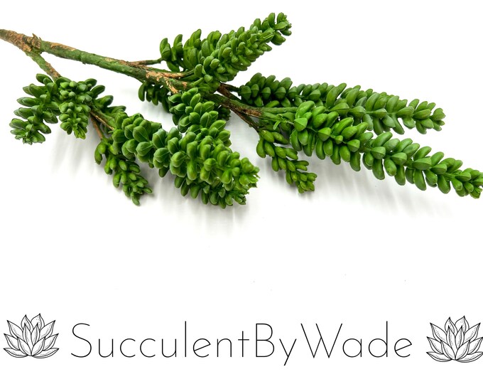 Faux Succulent Pick - Sedum