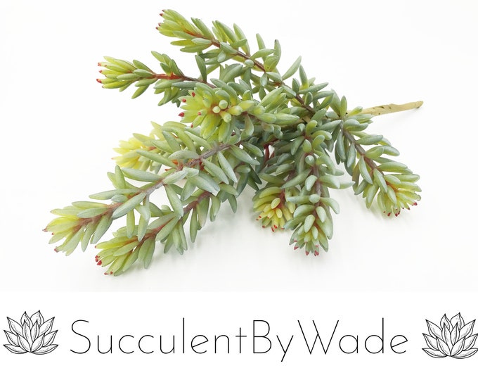 Faux Succulent Pick - Sedum