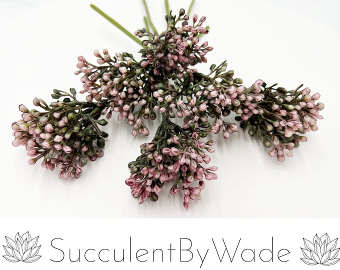 Faux Succulent Pick - Sedum